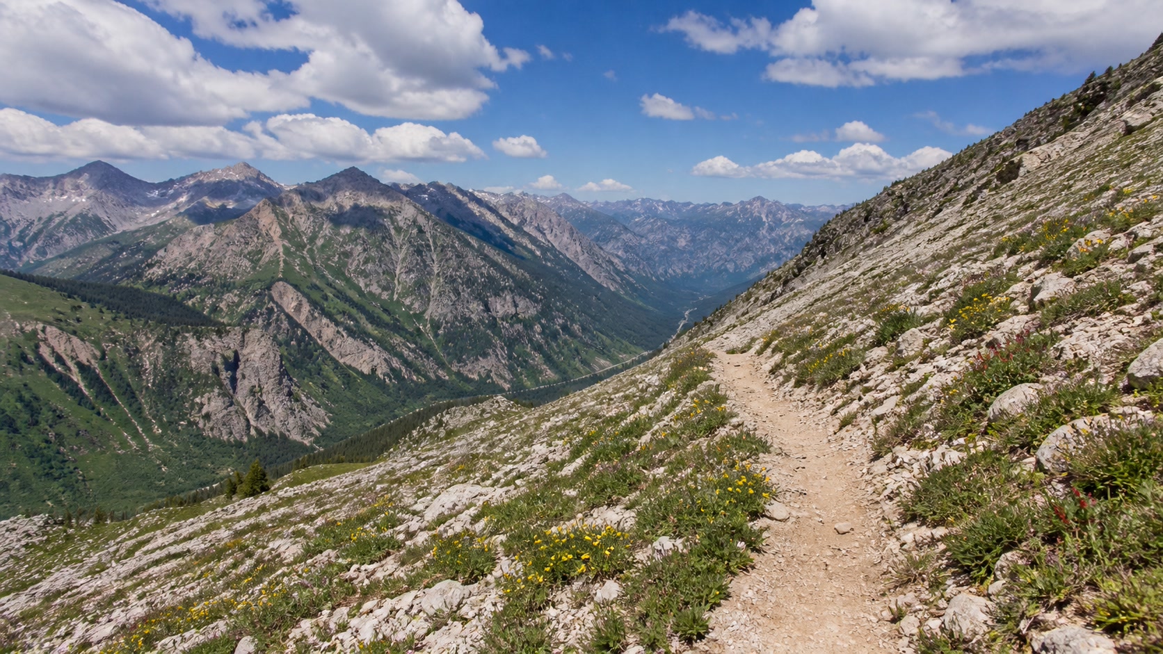Speedgoat by UTMB 赛事代表图
